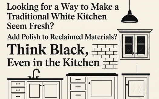 Fresh Black Accents infographic