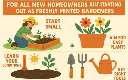 Beginner's Gardening Guide infographic