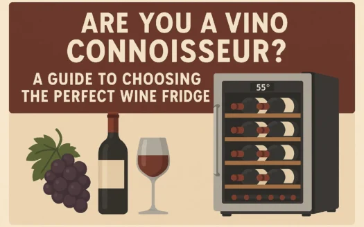 Wine Fridge Guide infographic