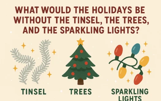 Holiday Decor Highlights infographic