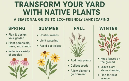 Eco-Friendly Yard Guide infographic